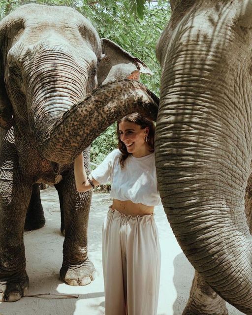 Kulen Elephant Forest Siem Reap in Small Group - Pond time, enrichment, and caring for elephants the handler way