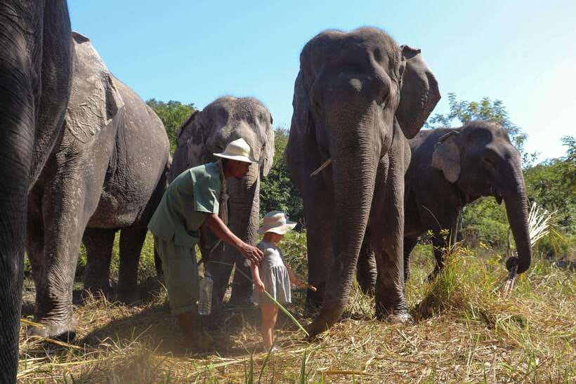 Kulen Elephant Forest Siem Reap in Small Group - Practical tips: what to bring for a comfortable forest elephant day