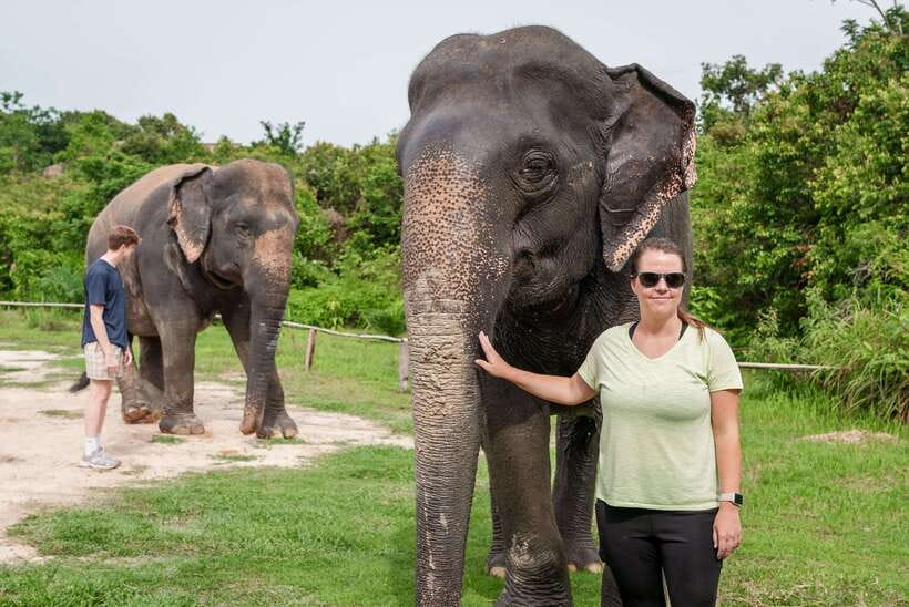 Kulen Elephant Forest Tour with Hotel Pick-up & Drop off - Elephant food-making: the tasty intro that sets the tone