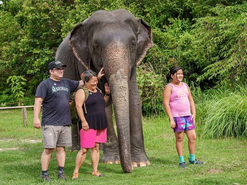 Kulen Elephant Forest Tour with Hotel Pick-up & Drop off - Lunch (morning) vs snack (afternoon): how to plan your energy