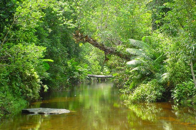 Kulen National Park Ticket - Who This Ticket Delivery Option Fits Best