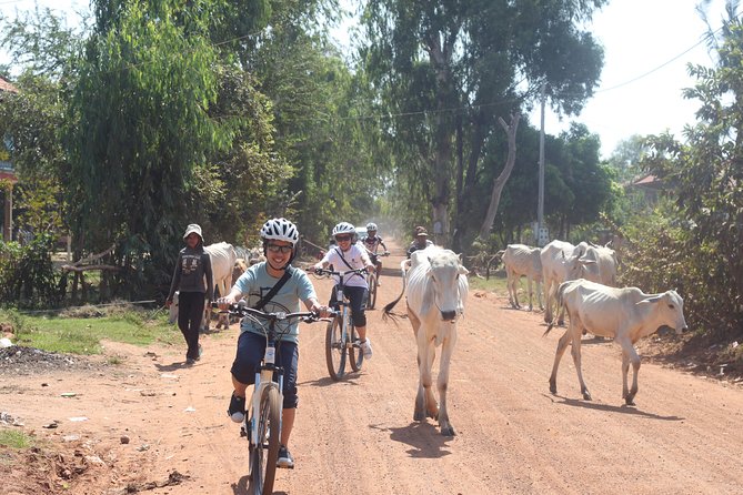 Oudong Mountain And Floating Village Cycle Tour - Pace, bikes, and support: making 9 hours feel manageable