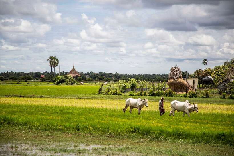 Phnom Penh: Phnom Oudong & Koh Chen Village - Lunch include - Buddhist Temples: Learning the Teachings Through the Setting