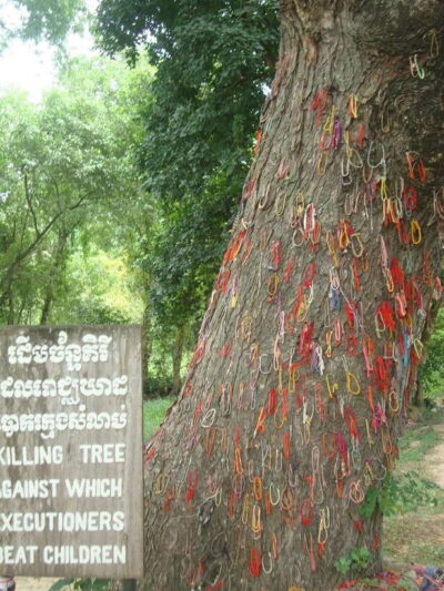 Phnom Penh: S-21 Prison and Killing Fields Half-Day Tour - Entering Choeung Ek Killing Fields: What You’ll See and What the Guide Adds
