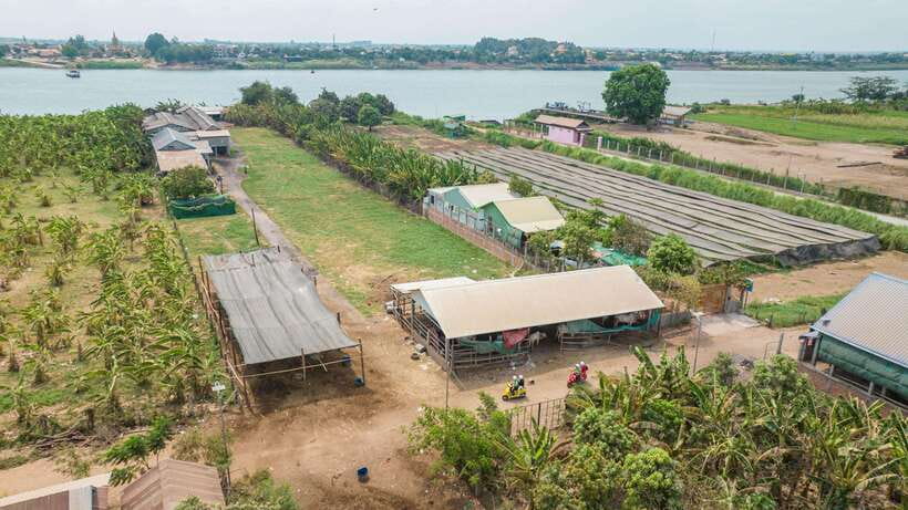 Phnom Penh: Silk Island Tour by Vespa with Tuk Tuk Available - Price and what your $29 actually buys