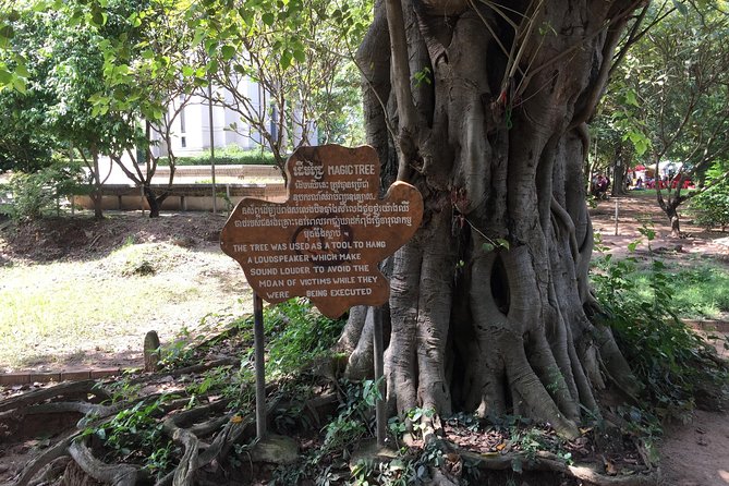 Private Half Day To Killing Field & S21 Genocidal Museum in Phnom Penh - Price and entrance tickets: doing the math so it feels fair