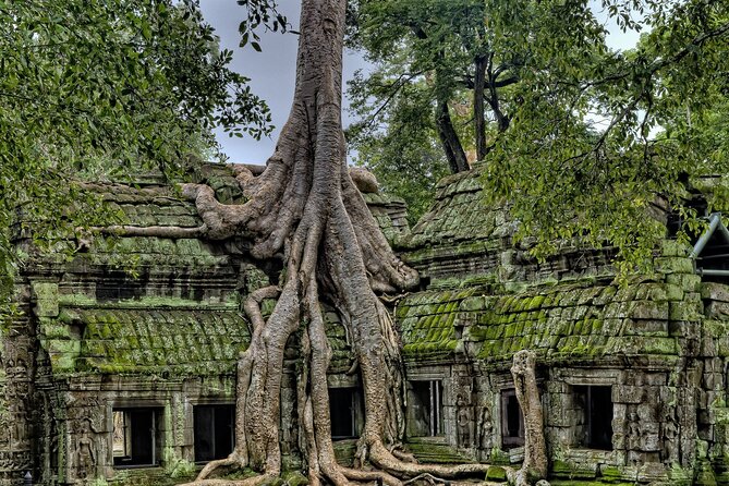 Private sunrise tour to Angkor Wat & other highlights with Professional Guide. - Comfort from pickup to the last temple stop