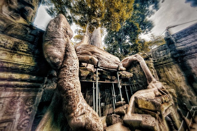 Private sunrise tour to Angkor Wat & other highlights with Professional Guide. - Angkor Thom South Gate and Bayon: where the faces take over