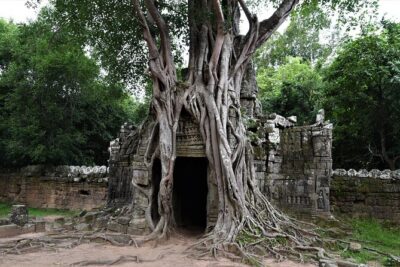 Private Taxi Siem Reap to Phnom Penh, Reliable Driver, Transfer - Vehicle choices: SUV to 7-seat minivan for your group size