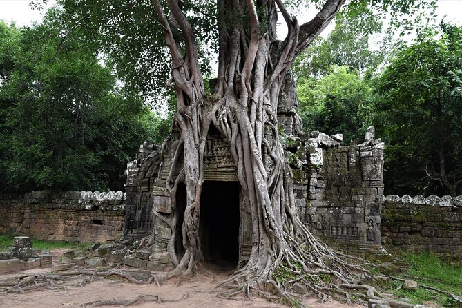 Private Taxi Siem Reap to Phnom Penh, Reliable Driver, Transfer - Vehicle choices: SUV to 7-seat minivan for your group size
