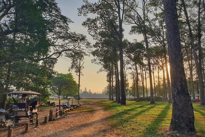 Private Temples Guided Tour (Angkor Wat, Ta Prom & Angkor Thom) - Price and what’s actually included (and what isn’t)