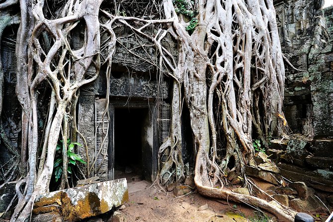 Private Temples Guided Tour (Angkor Wat, Ta Prom & Angkor Thom) - Bayon Temple and Angkor Thom: the mood shift after Ta Prohm