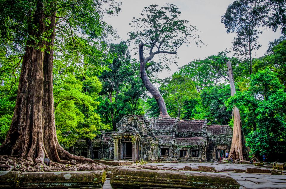 Seat-In-Coach: Small Circuit tour with Sunrise at Angkor Wat - Value Check: Is the $30 Small-Circuit Worth It?