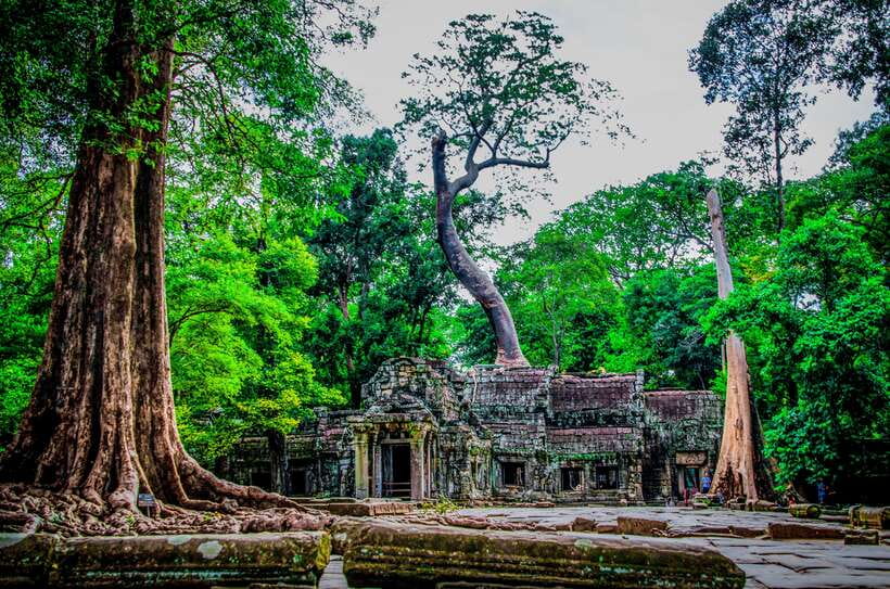 Seat-In-Coach: Small Circuit tour with Sunrise at Angkor Wat - Ta Prohm’s Jungle Vines: Expect Movie Energy, Not a Walk in the Park