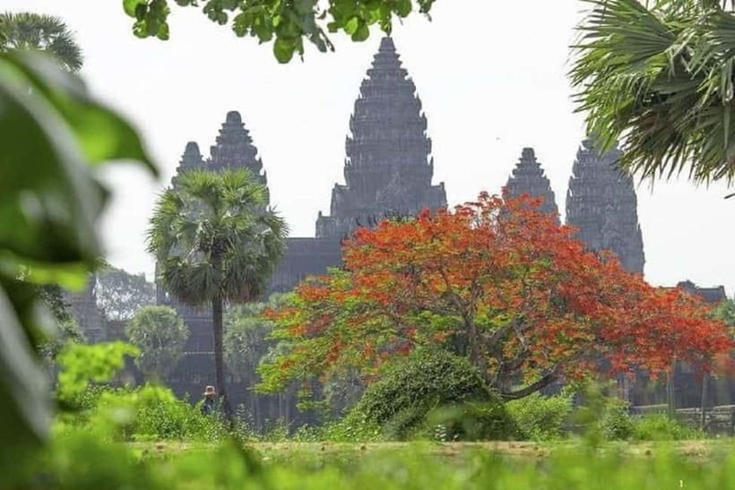 Siem Reap: 2-Day Private Angkor Wat & Angkor Temples Tour - Price and Value: Is $245 Worth It?