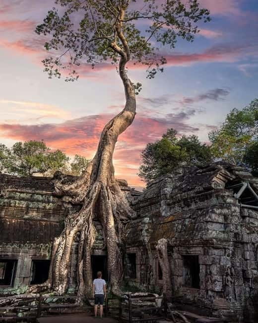 Siem Reap: 2-Day Private Angkor Wat & Angkor Temples Tour - Day 1: Small Circuit From South Gate to Ta Prohm and Angkor Wat