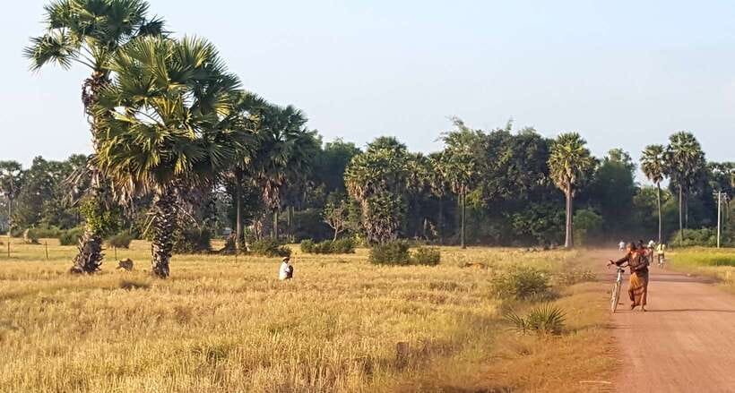 Siem Reap: 3-Hour Ancient Trails Motorbike Tour - The small-group advantage: up to 9 riders