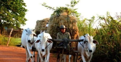 Siem Reap: 3-Hour Ancient Trails Motorbike Tour - Price, time, and what your $44 buys you