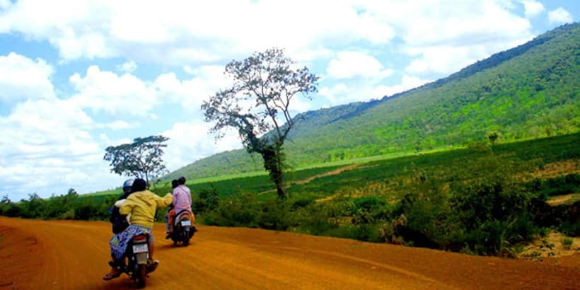 Siem Reap: 6-Hour Easy Rider Motorbike Tour - Red clay roads, rice fields, and the joy of riding between villages