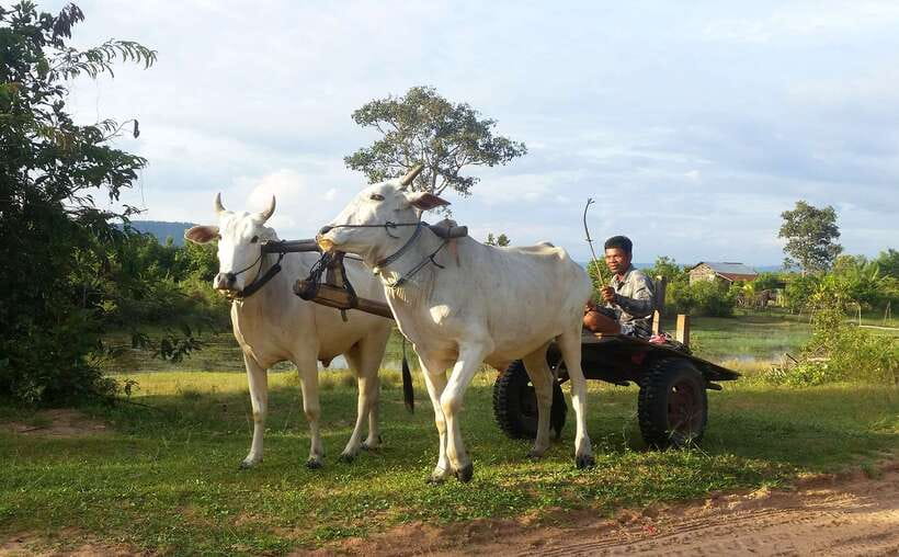 Siem Reap: 6-Hour Easy Rider Motorbike Tour - The old Angkor bridge: a thousand years of crossing made tangible