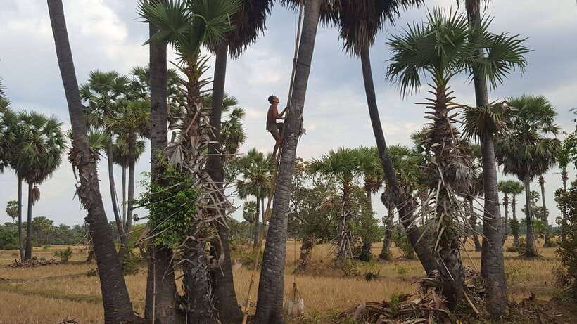 Siem Reap: 6-Hour Easy Rider Motorbike Tour - Lunch by the lake with Kulen Mountain views