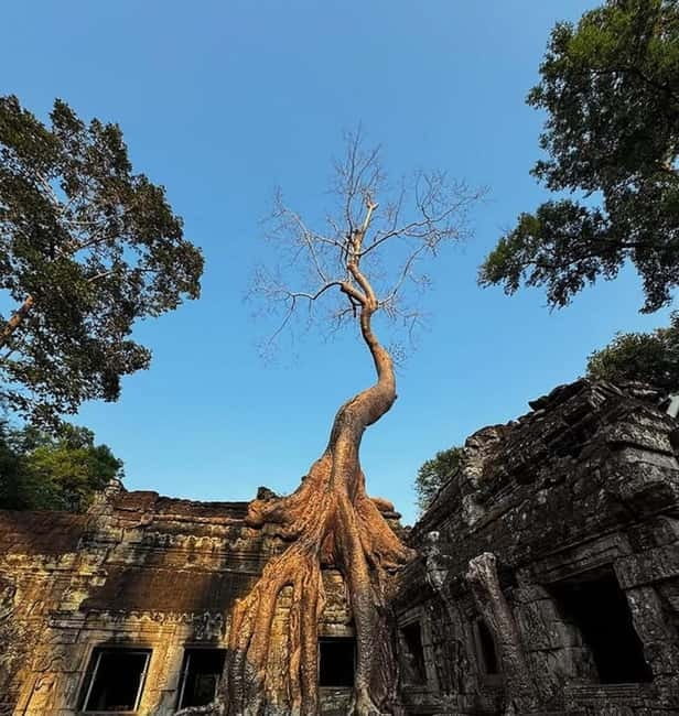 Siem Reap: Angkor 1-Day Private Tour with Sunset or Sunrise - Ta Prohm and Ta Keo: temples that look like film sets