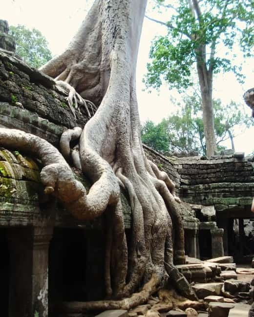 Siem Reap: Angkor 1-Day Private Tour with Sunset or Sunrise - Transport and guide language: the comfort side of Angkor
