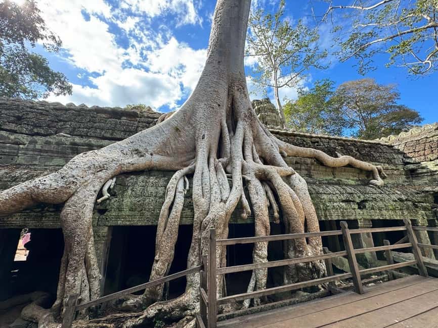 Siem Reap: Angkor Wat Small Group Tour with Spanish Guide - Key things that make this Angkor tour work well