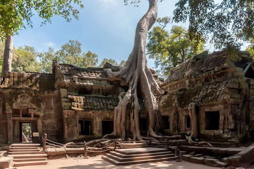 Siem Reap: Angkor Wat Sunrise and Full-Day Sightseeing Tour - Angkor Wat at first light: how the guide turns views into meaning