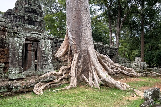 Siem Reap: Angkor Wat Sunrise Bike Tour & Jungle Breakfast - The Bike Route Between Temples: Quiet Back Roads and Real Shade