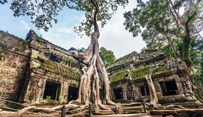 Siem Reap: Angkor Wat Tour Explore The Most Iconic Temples - Ta Prohm: Jungle Roots, Lost-Temple Atmosphere, and Monkey-Spotting