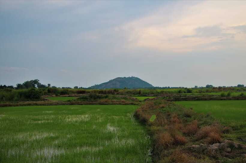 Siem Reap: Countryside Cycle and Local Village Life Tour - Should You Book the Siem Reap Countryside Cycle?