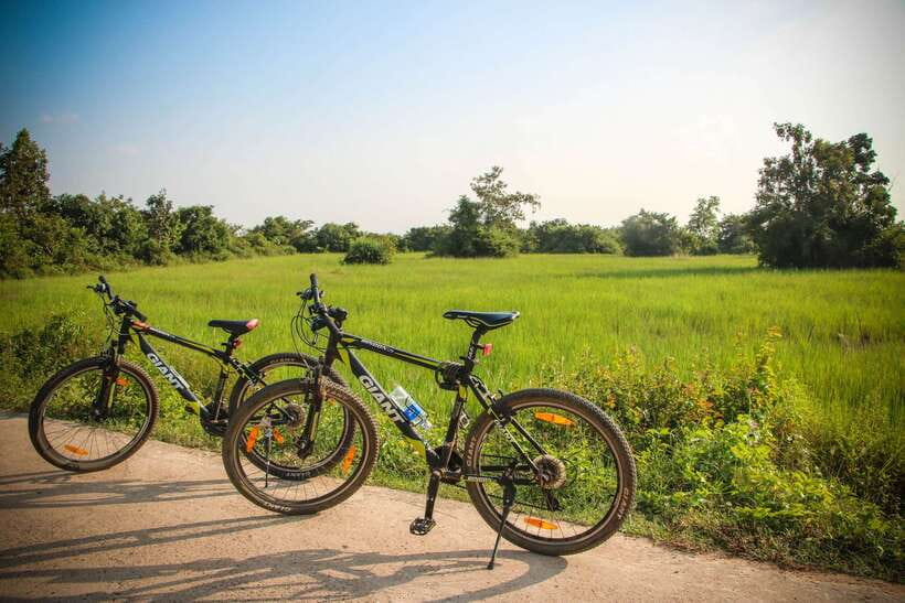 Siem Reap: Countryside Cycle and Local Village Life Tour - Village Stops Where Small Talk Turns Into Answers