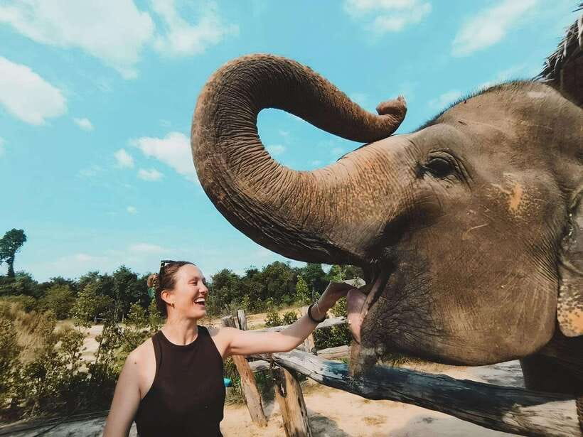 Siem Reap: Elephant Sanctuary Included Hotel Pickup Drop-off - Key highlights worth knowing