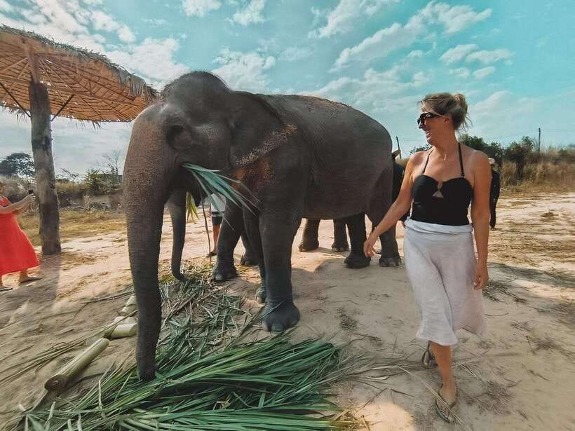 Siem Reap: Elephant Sanctuary Included Hotel Pickup Drop-off - Price and Value at About $128: What You’re Paying For