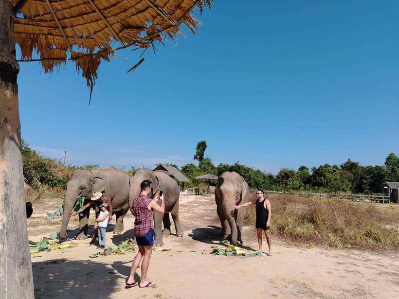Siem Reap: Elephants & Apopo Rat Demining Private Trip - Should you book Elephants & ApoPo Rat Demining Private Trip?