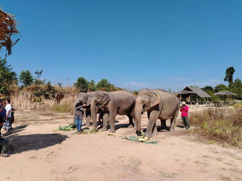 Siem Reap: Elephants & Apopo Rat Demining Private Trip - Why this Siem Reap combo feels both fun and meaningful