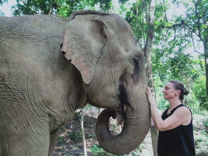 Siem Reap: Elephants & Apopo Rat Demining Private Trip - Elephant Sanctuary: snacks, pond play, and that mud-to-river rhythm