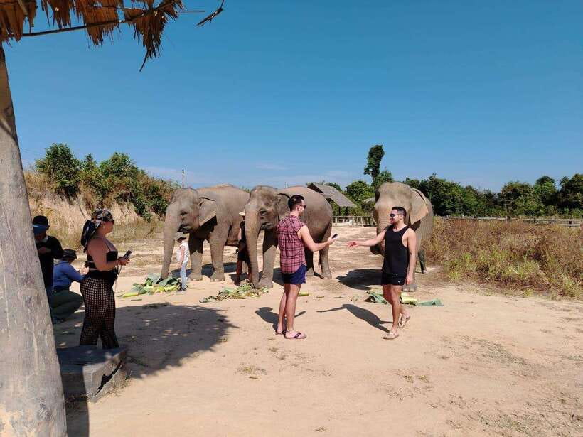 Siem Reap: Elephants & Apopo Rat Demining Private Trip - APoPo Rat Demining Centre: watching hero rats detect danger