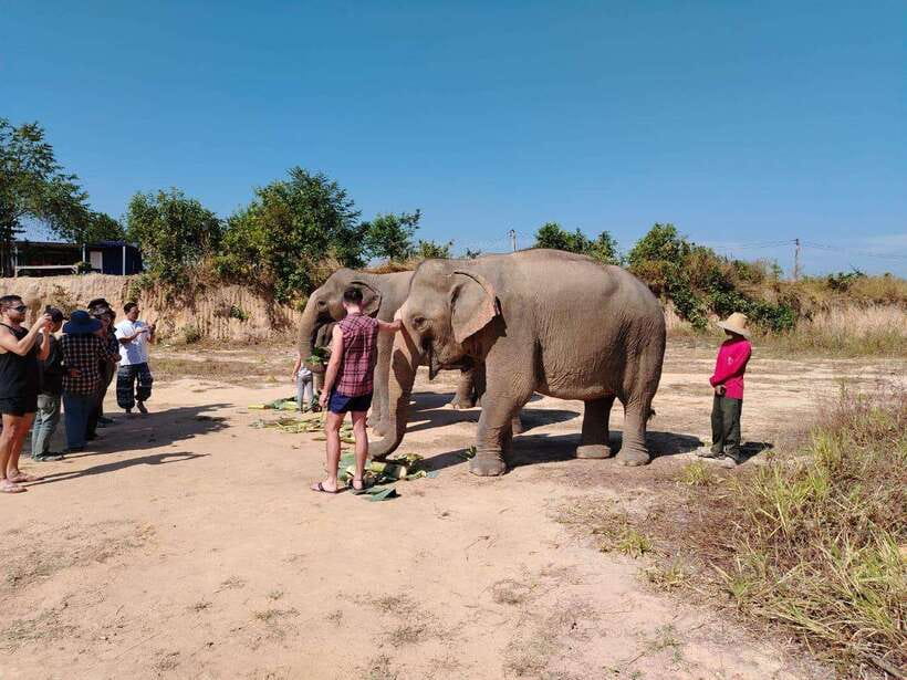 Siem Reap: Elephants & Apopo Rat Demining Private Trip - Morning or afternoon order: which sequence fits your day