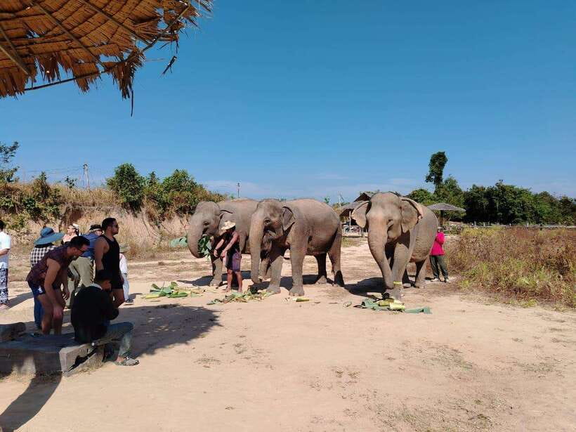 Siem Reap: Elephants & Apopo Rat Demining Private Trip - What to pack and how to get the most out of it