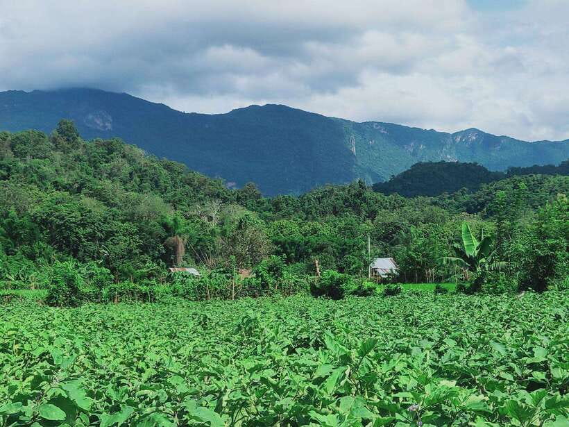 Siem Reap: Elephants & Apopo Rat Demining Private Trip - Who should book this trip (and who might not)