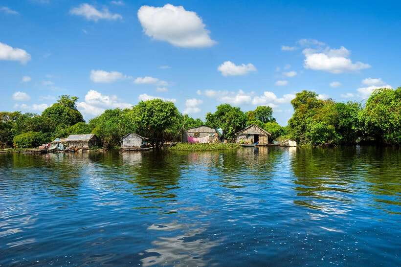 Siem Reap: Floating Village Half-Day Tour - Lotus farm to lunch: the timing that keeps the day enjoyable