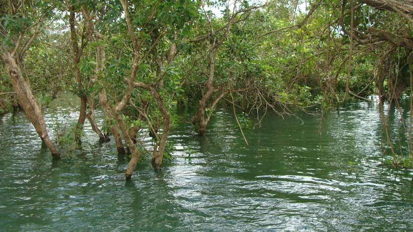Siem Reap Floating Village Tour, Kompong Phluk Tour - Kompong Phluk from Siem Reap: why this floating village trip works