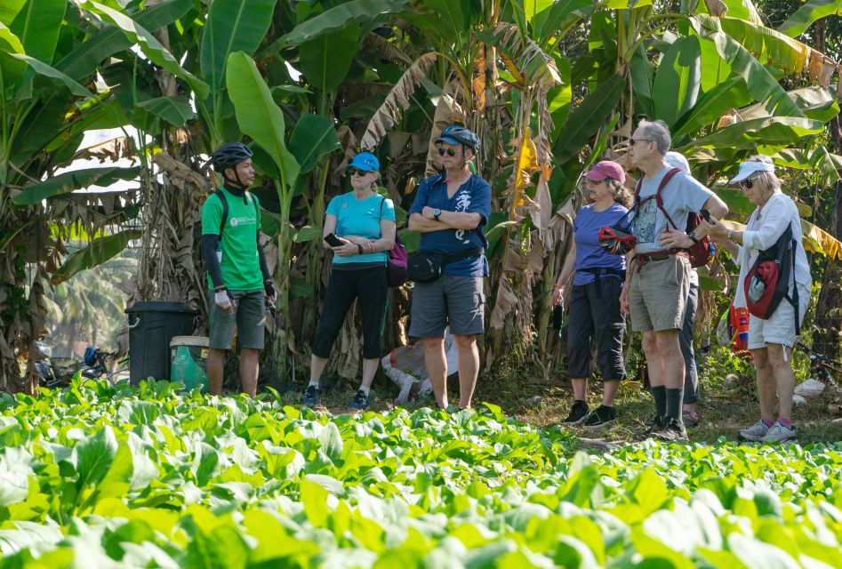 Siem Reap: Guided Countryside Bike Tour - Price and Value: Why $35 Makes Sense Here