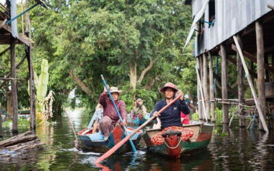 Siem Reap: Kompong Phluk Floating Village Half-Day Tour - Getting There: A/C Transport, Tight Time Windows, and a Calm Pace
