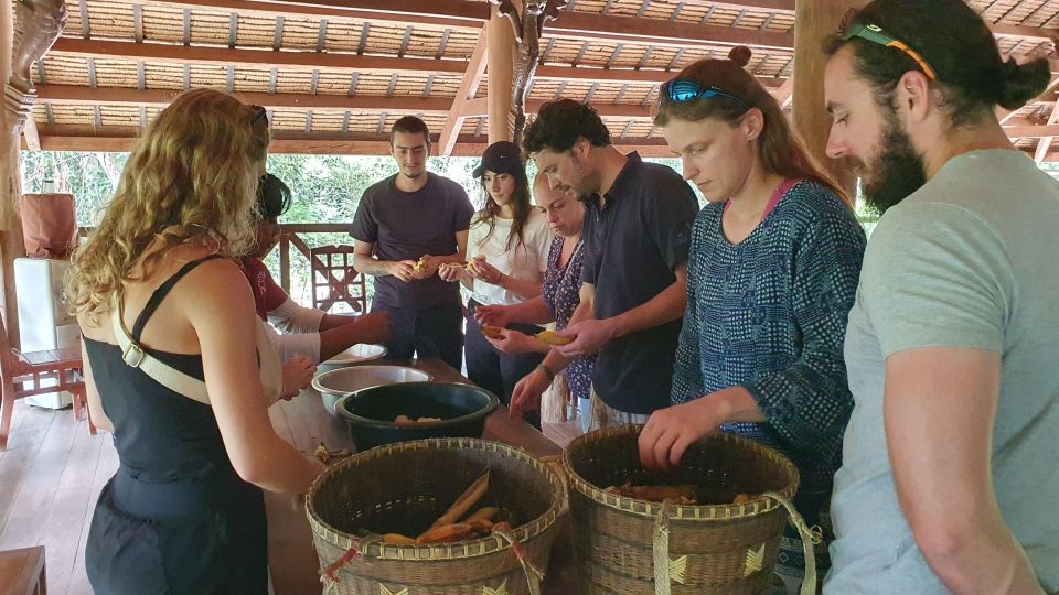 Siem Reap: Kulen Elephant Forest Guided Tour - Guides and mahouts: getting the most from the day