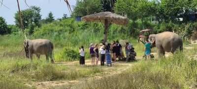 Siem Reap: Kulen Elephant Forest Guided Tour - Price and value: is $128 a fair deal?