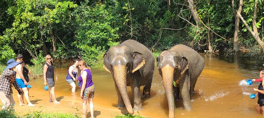 Siem Reap: Kulen Elephant Forest Guided Tour - The guide briefing: what you’re learning before you meet elephants