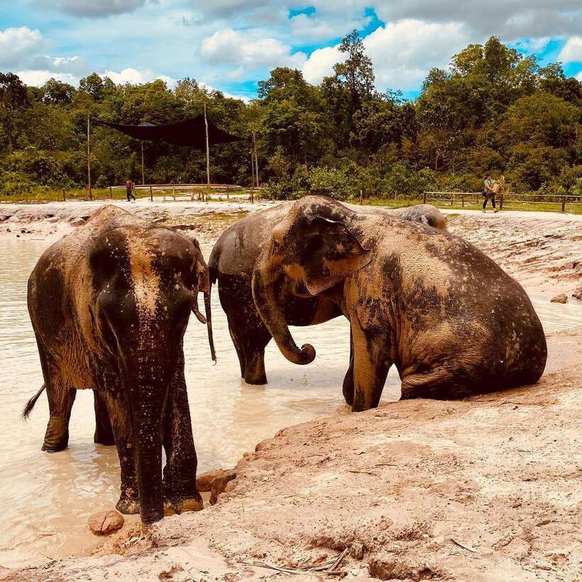 Siem Reap: Kulen Elephant Forest & Tonlesap Lake - The 7-Hour Flow from Siem Reap: What You’ll Actually Be Doing